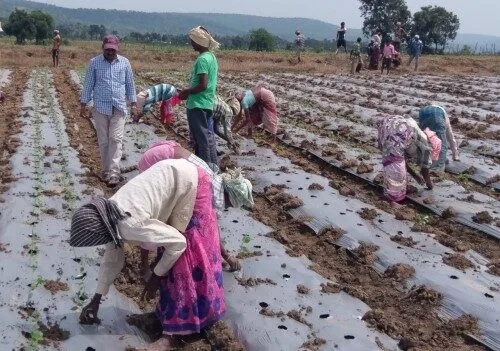 Field work under the SPICE 2020 initiative